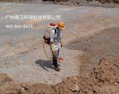 廣州專業(yè)預防白蟻公司