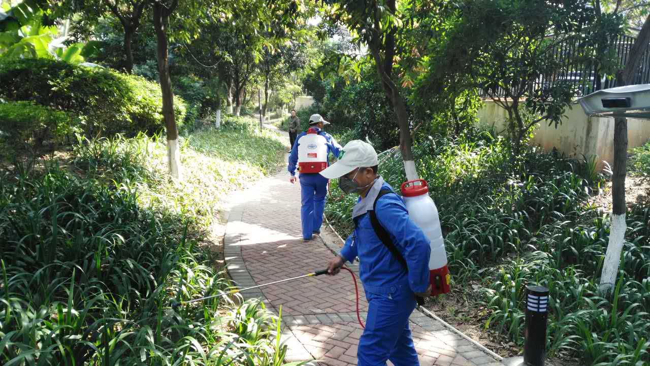廣州消殺除蟲(chóng)公司